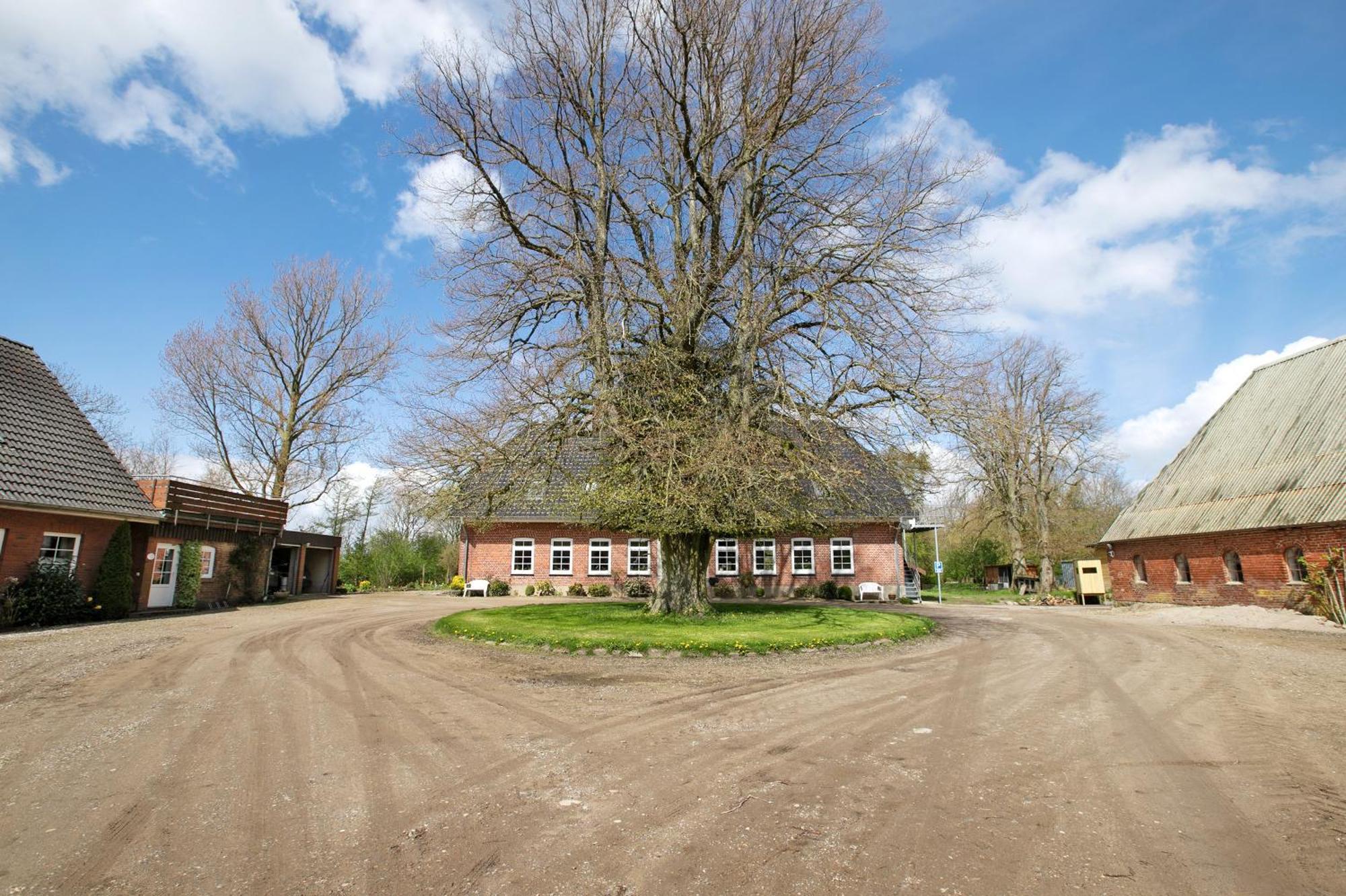 Ferienwohnung Coni Langballig Exterior foto